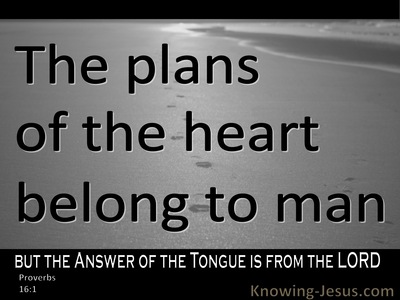 Proverbs 16:1 The Plans Of A Man (black)